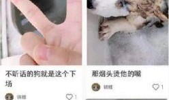 柯基最新爆料视频,揭秘明星私生活细节