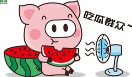 瓜瓜吃瓜娱乐版,娱乐版独家揭秘娱乐圈幕后故事