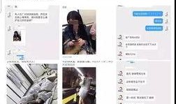 爆款营销号爆料视频怎么做,轻松打造热门内容！