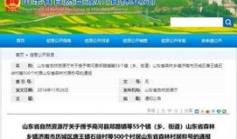 寿光最新爆料消息,揭秘背后惊人真相