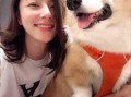 柯基最新爆料视频,揭秘明星私生活细节
