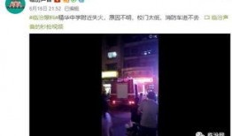 太华爆料视频最新,事件背后惊人真相