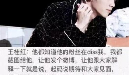 华晨宇爆料语音视频播放,揭秘幕后故事，语音视频播放背后的精彩瞬间
