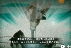 水门最新爆料事件视频,揭秘最新爆料视频背后的惊人真相