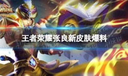 王者新皮肤爆料最新直播,神秘英雄华丽变身，视觉盛宴即将开启！