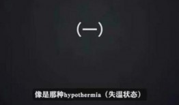 蓝台制作人爆料视频大全,揭秘幕后真相与精彩瞬间