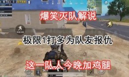 和平精英最新搞笑爆料,爆笑瞬间，玩家搞笑爆料笑翻全场！
