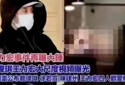 爆料王力宏视频最新章节,最新章节曝光，惊人内幕引发热议